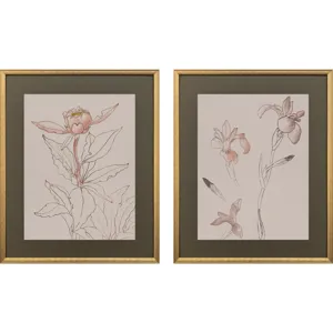 Delicate Sketch II S/2 Framed Art