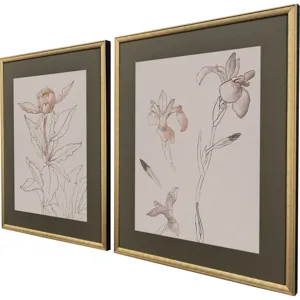 Delicate Sketch II S/2 Framed Art