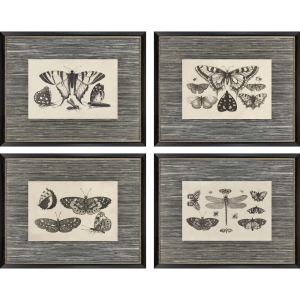 Anthropod Collection S/4 Framed Art