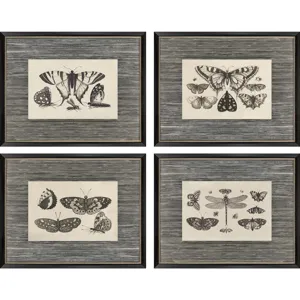 Anthropod Collection S/4 Framed Art
