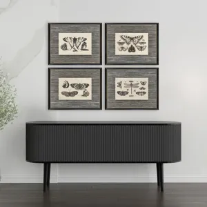 Anthropod Collection S/4 Framed Art