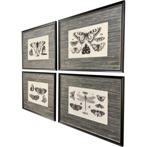 Anthropod Collection S/4 Framed Art