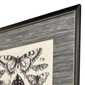Anthropod Collection S/4 Framed Art