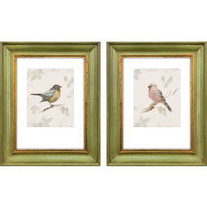 Bird Scene S/2 Framed Art