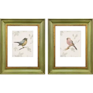 Bird Scene S/2 Framed Art