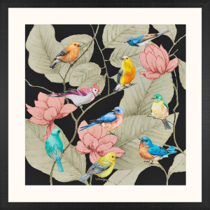 Array of Birds Framed Art