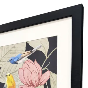 Array of Birds Framed Art