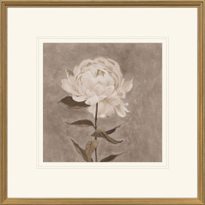 Pretty as a Peony I Framed Art