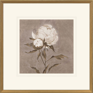 Pretty as a Peony II Framed Art