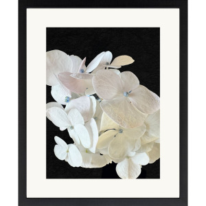 Modern Hydrangea I Framed Art