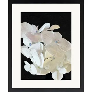 Modern Hydrangea I Framed Art