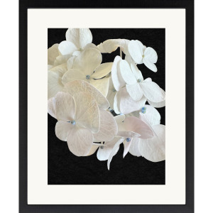 Modern Hydrangea II Framed Art