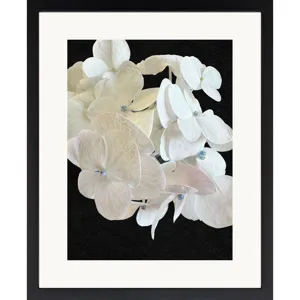 Modern Hydrangea II Framed Art