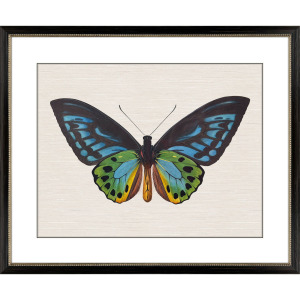 Garden Visitor I Framed Art