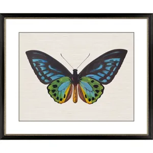 Garden Visitor I Framed Art