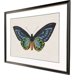 Garden Visitor I Framed Art