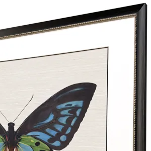 Garden Visitor I Framed Art
