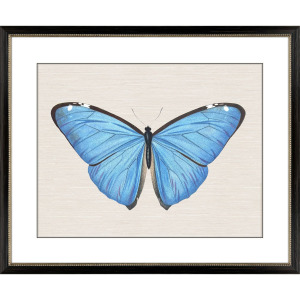 Garden Visitor II Framed Art