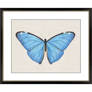 Garden Visitor II Framed Art