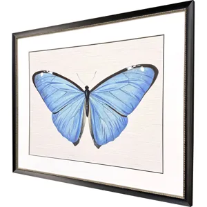 Garden Visitor II Framed Art