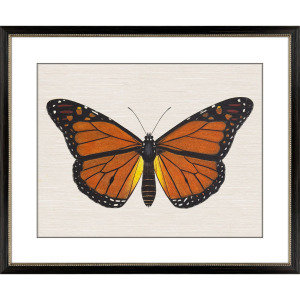 Garden Visitor III Framed Art