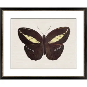 Garden Visitor IV Framed Art