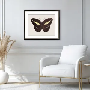 Garden Visitor IV Framed Art