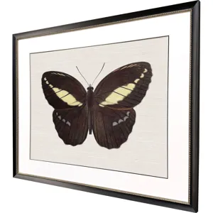 Garden Visitor IV Framed Art