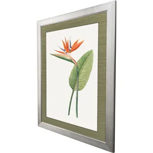 Bird of Paradise Framed Art