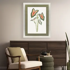 Caladium Framed Art