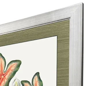 Caladium Framed Art