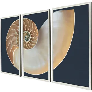 Nautilus Triptych S/3 Framed Art