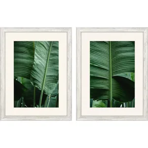Leaf Study S/2 Framed Art