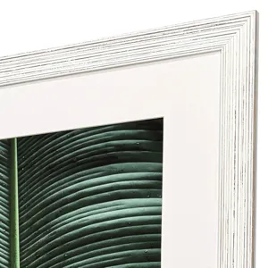 Leaf Study S/2 Framed Art