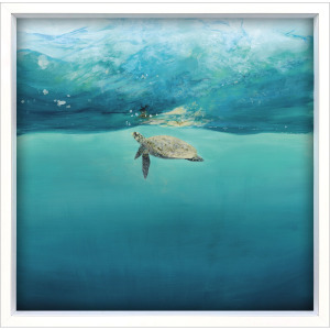 Turtle Reflection Framed Art