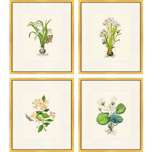 Delicate Medley I S/4 Framed Art