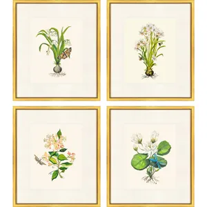 Delicate Medley I S/4 Framed Art