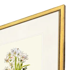 Delicate Medley I S/4 Framed Art