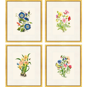 Delicate Medley II S/4 Framed Art