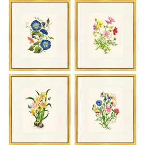 Delicate Medley II S/4 Framed Art
