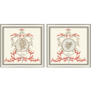 Coral Elegance I S/2 Framed Art
