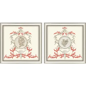Coral Elegance I S/2 Framed Art