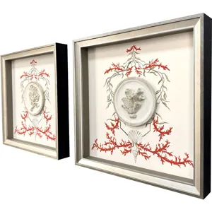 Coral Elegance I S/2 Framed Art