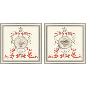 Coral Elegance II S/2 Framed Art