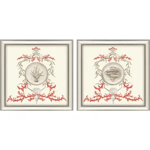 Coral Elegance II S/2 Framed Art