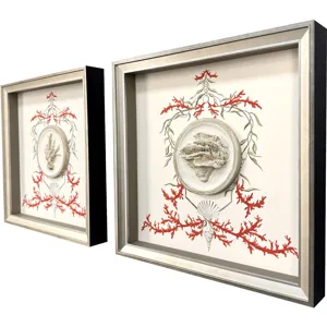 Coral Elegance II S/2 Framed Art