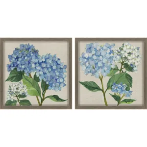Hydrangea Study S/2 Framed Art