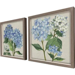Hydrangea Study S/2 Framed Art