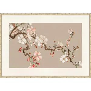 Pear Tree I Framed Art