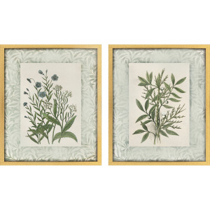 Herbs and Spice S/2 Framed Art